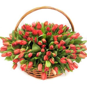 101 красный тюльпан в корзине — Тюльпаны