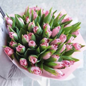 Букет из 51 розового махрового тюльпана — Тюльпаны