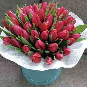 35 малиновых тюльпанов в коробке — Тюльпаны
