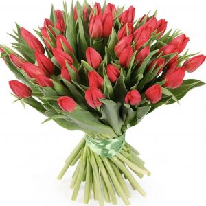 Букет из 49 красных тюльпанов — Цветы