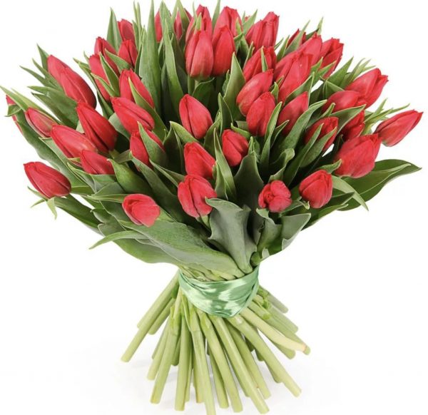 Букет из 49 красных тюльпанов — Букеты цветов