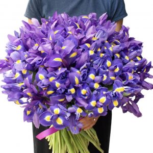 Букет из 101 ириса — Букеты цветов