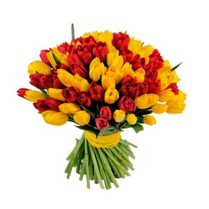 Букет из 51 красного и желтого тюльпана — Тюльпаны