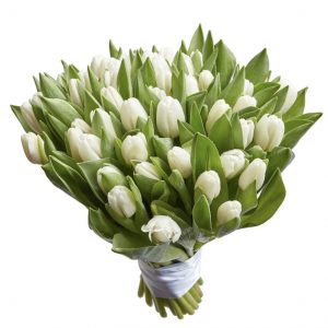 Букет из 35 белых тюльпанов — Доставка тюльпанов недорого