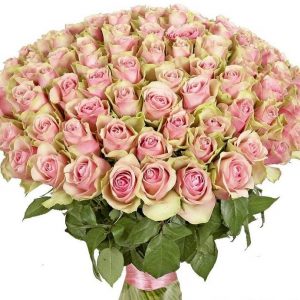Букет из 101 светло-розовой розы 40 см — Доставка 101 роза недорого