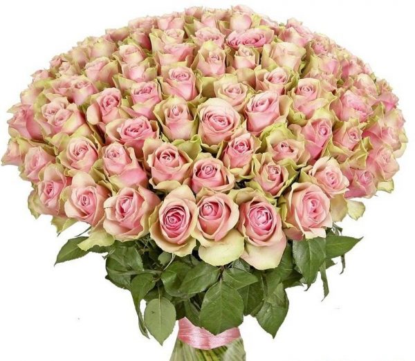 Букет из 101 светло-розовой розы 40 см