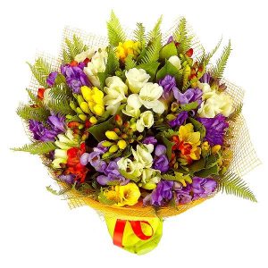 Разноцветные фрезии 51 шт — Букеты цветов