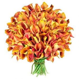 Букет из 101 оранжевой каллы — Букеты цветов