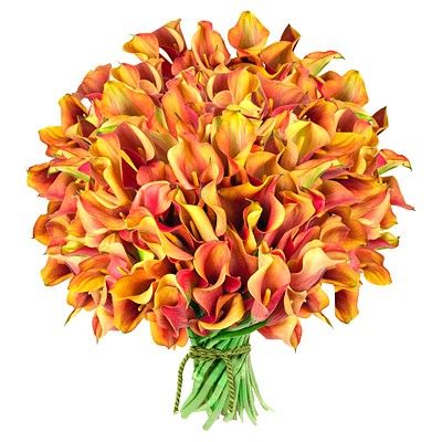 Букет из 101 каллы — Букеты цветов