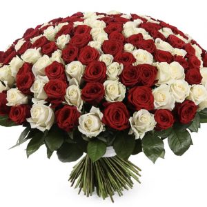201 красная и белая розы — Букеты цветов