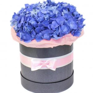 Шляпная коробка с 5 синими гортензиями — Букеты цветов