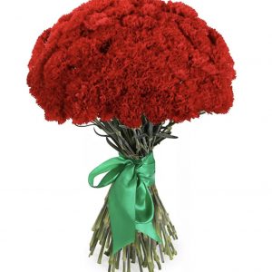 Букет из красных гвоздик — Букеты цветов