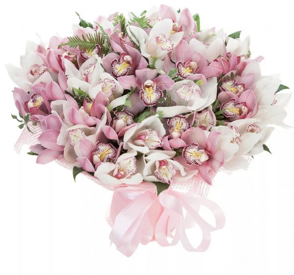 Букет из 39 орхидей — Букеты цветов
