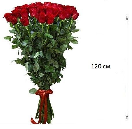 Букет из 25 роз 120 см — Букеты цветов
