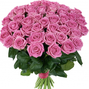 Букет из 51 розовой розы — Букеты цветов
