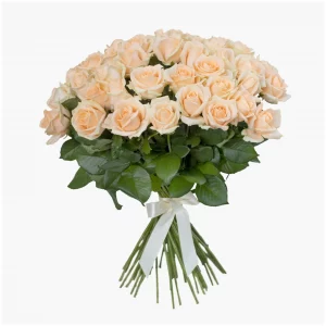 Букет из 51 кремовой розы 70 см — 51 голландская роза