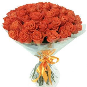 Букет из 51 оранжевой розы 70 см в упаковке — 51 голландская роза