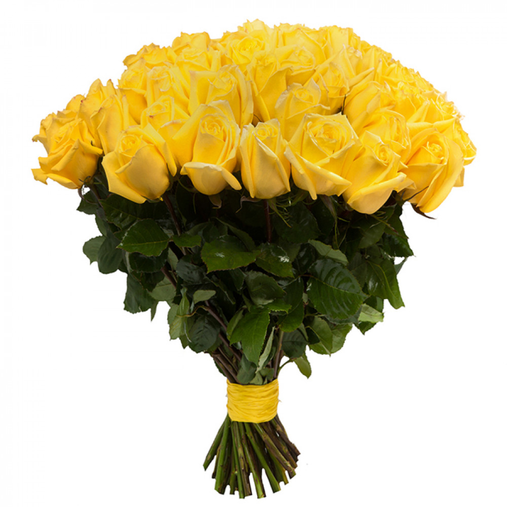 Голландские розы букет. Розы "Илиос". Букет желтых роз 51шт. Розы Голландия желтые.