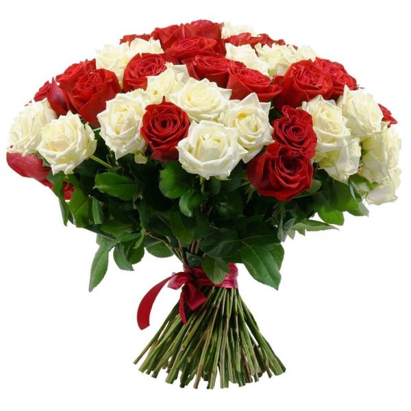 Букет из 51 белой и красной розы 70 см — Розы