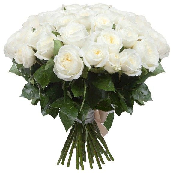 Купить букет из роз Alabaster по доступной цене с доставкой в Москве и  области в интернет-магазине Город Букетов