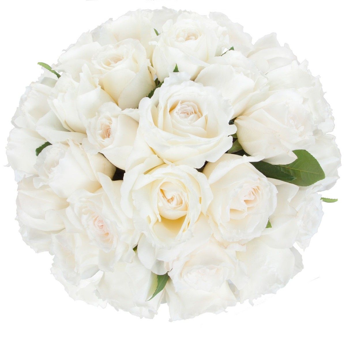 Купить букет из 20 роз Alabaster по доступной цене с доставкой в Москве и  области в интернет-магазине Город Букетов