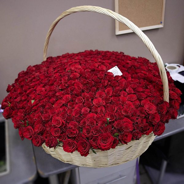 Букет из 501 красной розы — Розы 2