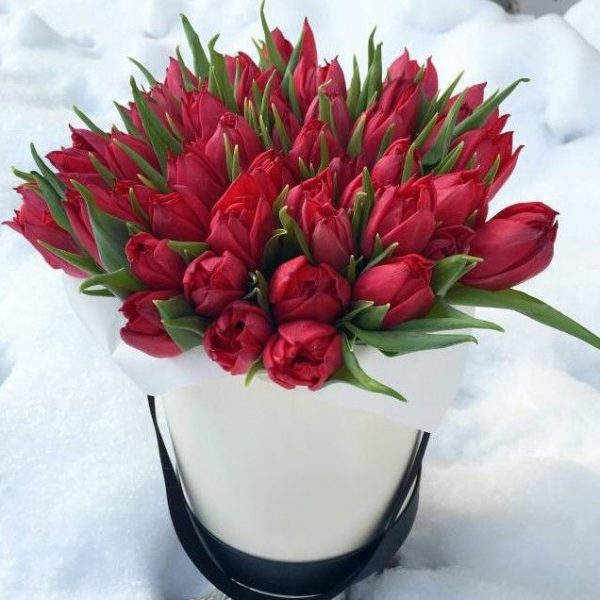 Коробка с 45 красными тюльпанами — Композиции