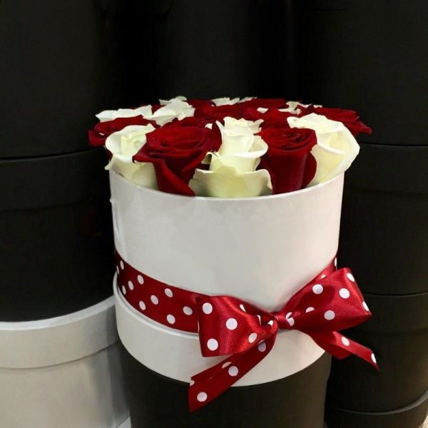 Красно-белые розы в коробке — 21 голландская роза