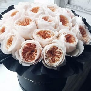 Персиковые пионовидные розы в черной коробке — 21 роза Кения