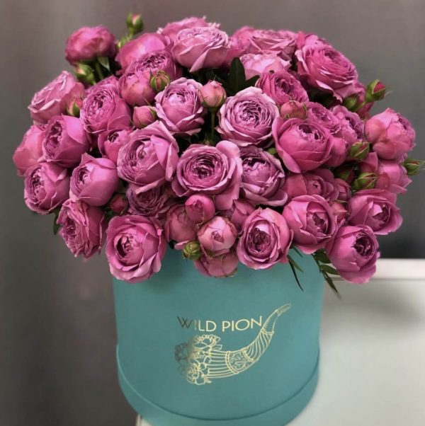 Розы Мисти Баблс в коробке — Кустовые пионовидные розы