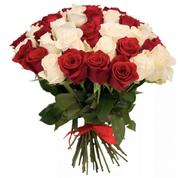 Букет 35 белых и красных роз 80 см — Розы