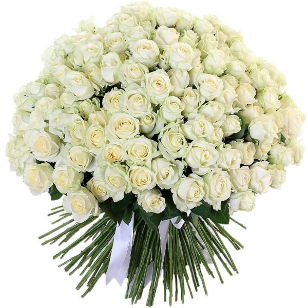 Букет из 201 белой розы — Букет белых роз женщине