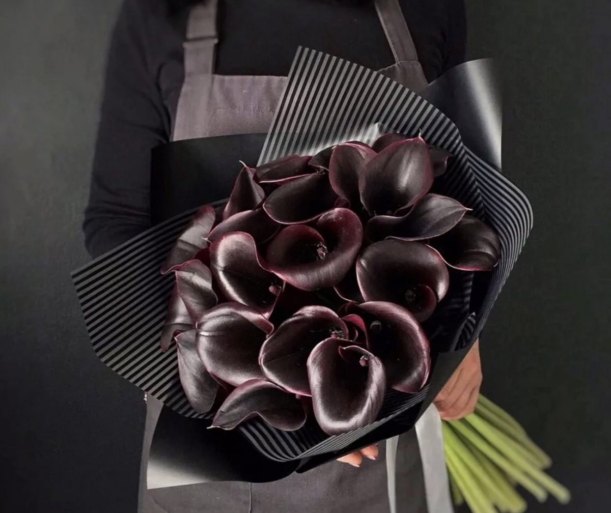 купить цветы черные каллы