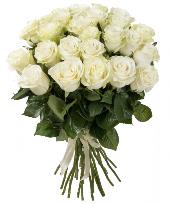 Букет из 25 белых роз — Букеты цветов