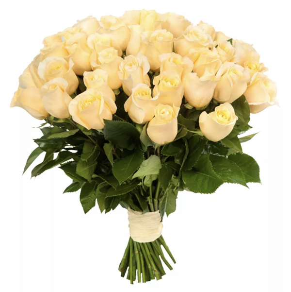 Букет из 25 кремовых роз — Букеты цветов