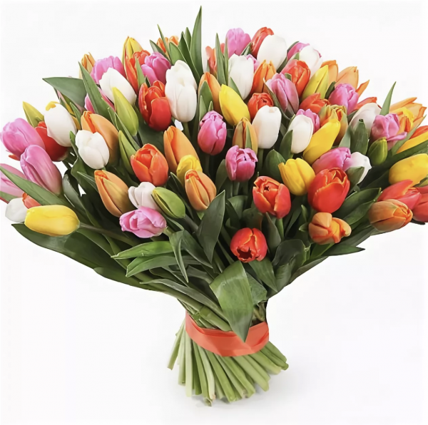 Букет из 101 тюльпана микс — Букеты цветов