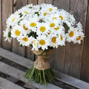 Букет из 35 крупных ромашек — Букет полевых цветов