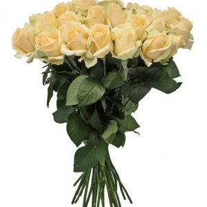 Букет из 24 кремовых роз 70 см — 24 розы