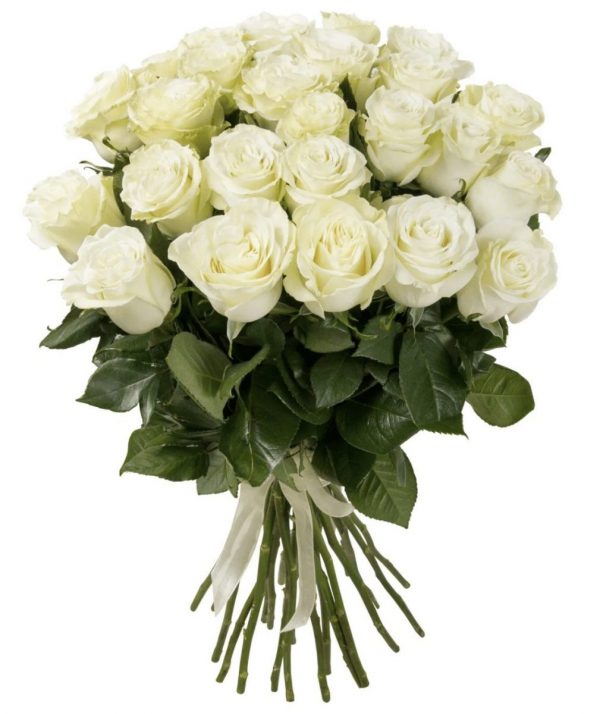 Букет из 25 белых роз 70 см — Розы