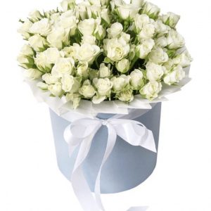 Белые кустовые розы в коробке 55 шт —