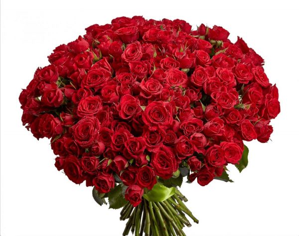 Букет из 201 красной розы — 205 роз