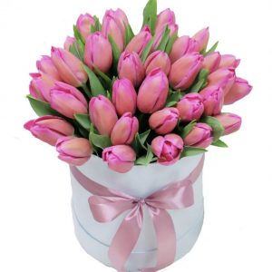 Букет из 35 розовых тюльпанов в коробке — Тюльпаны