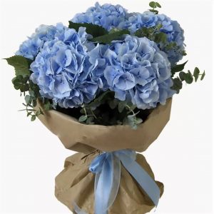 Букет из 5 синий гортензий — Букеты цветов