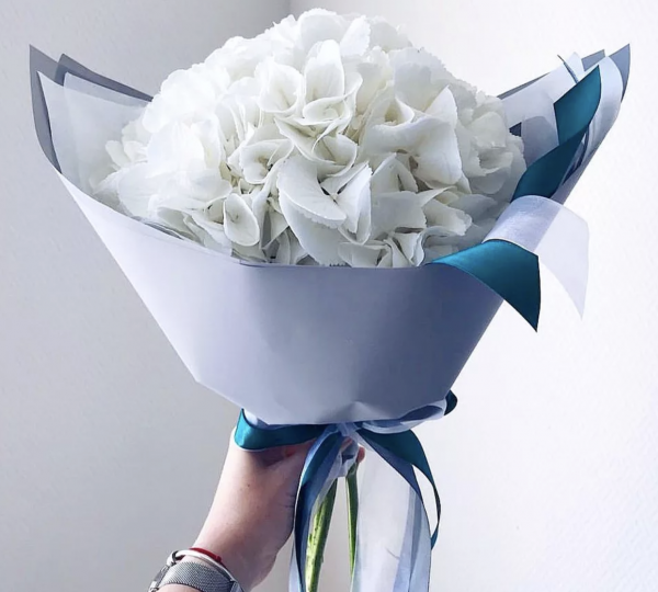 Букет из одной белой гортензии — Букеты цветов