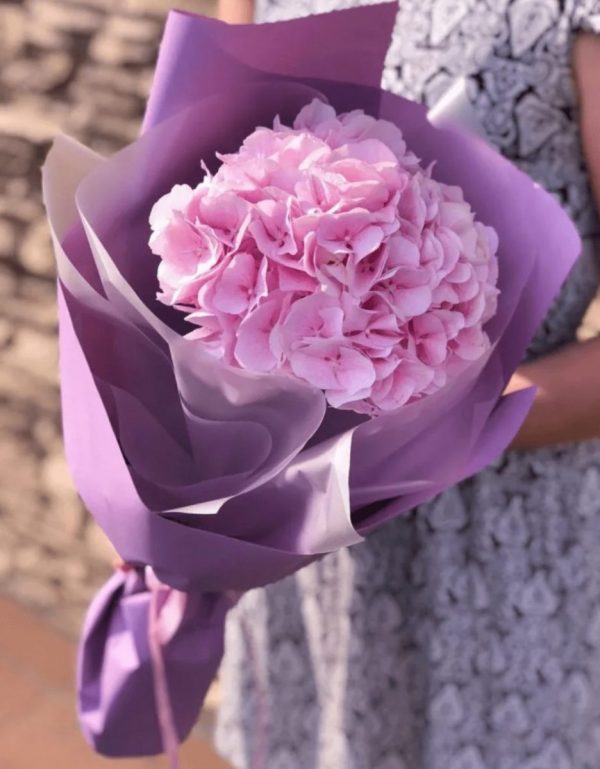 Букет из одной розовой гортензии — Букеты цветов