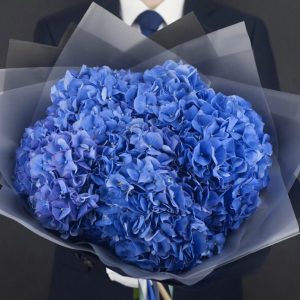 Букет из 9 голубых гортензий в упаковке — Букеты цветов