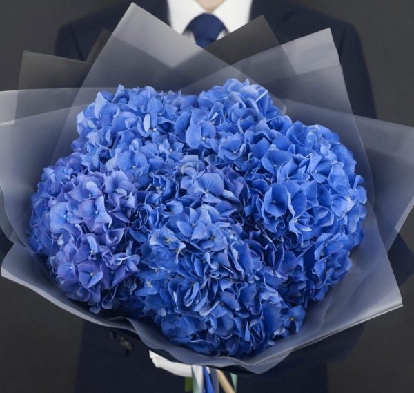 Букет из голубых гортензий — Букеты цветов