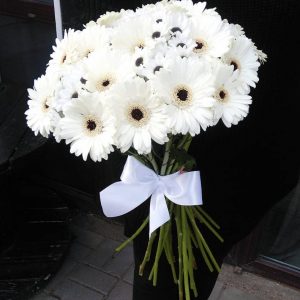 Букет белых гербер — Букеты цветов
