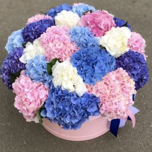 Шляпная коробка из гортензий — Букеты цветов