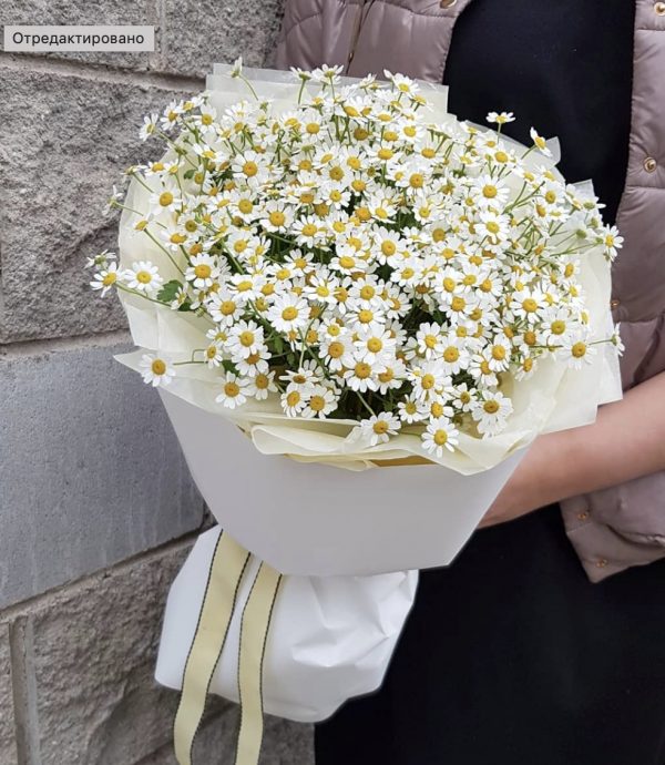 Букет из 15 белых ромашек — Букеты цветов
